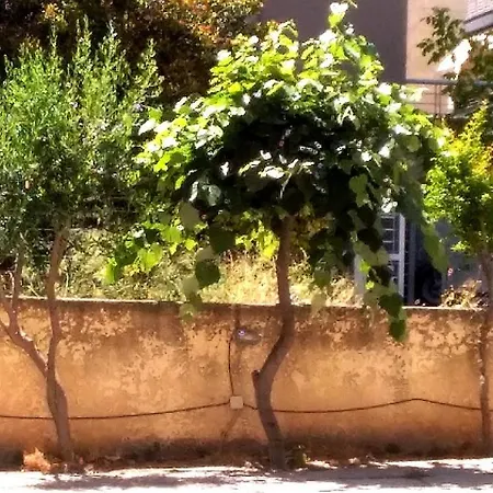 Daire Lobby Comfort Selanik