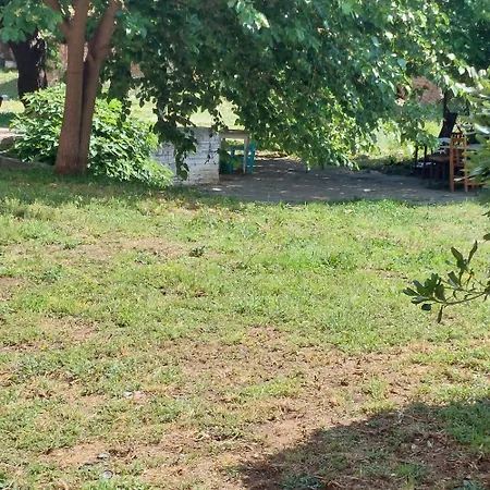 Lobby Comfort Daire Selanik