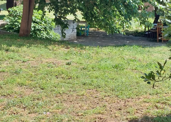 Lobby Comfort 公寓 塞萨洛尼基